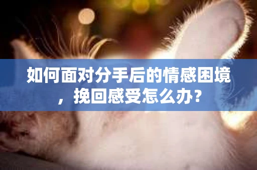 如何面对分手后的情感困境，挽回感受怎么办？