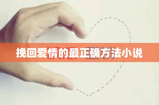 挽回爱情的最正确方法小说