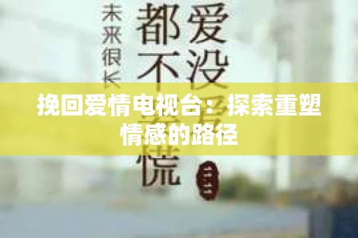 挽回爱情电视台：探索重塑情感的路径