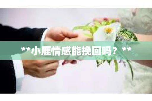 **小鹿情感能挽回吗？**