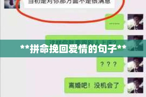 **拼命挽回爱情的句子**