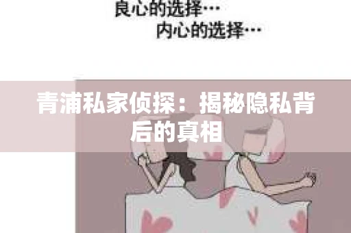 青浦私家侦探：揭秘隐私背后的真相