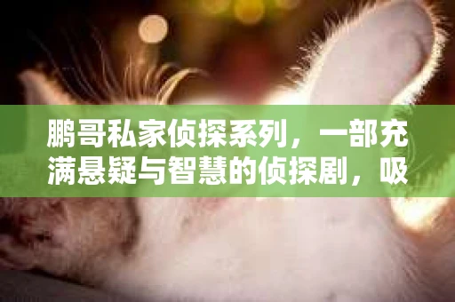 鹏哥私家侦探系列，一部充满悬疑与智慧的侦探剧，吸引了无数观众的眼球。今天，就让我带你走进这个充满神秘色彩的侦探世界，一起在线观看鹏哥私家侦探系列，感受那扣人心弦的故事情节。