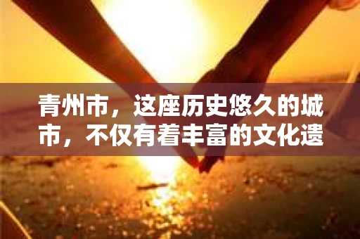 青州市，这座历史悠久的城市，不仅有着丰富的文化遗产，也有着现代生活的便捷。那么，问题来了——青州市有私家侦探公司吗？这个问题，对于需要侦探服务的人来说，无疑至关重要。接下来，我就来为大家揭开这个谜底。