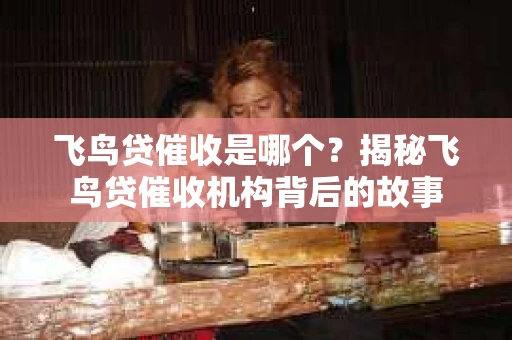飞鸟贷催收是哪个？揭秘飞鸟贷催收机构背后的故事