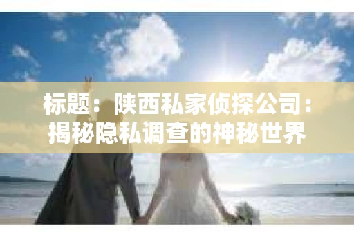 标题：陕西私家侦探公司：揭秘隐私调查的神秘世界