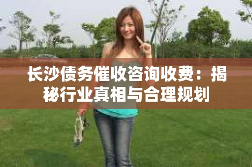 长沙债务催收咨询收费：揭秘行业真相与合理规划