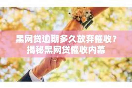 黑网贷逾期多久放弃催收？揭秘黑网贷催收内幕