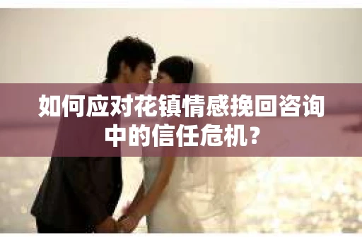 如何应对花镇情感挽回咨询中的信任危机？