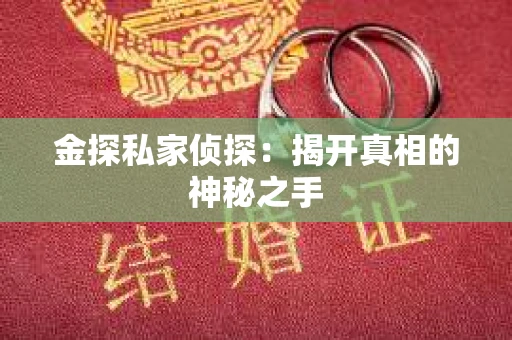 金探私家侦探：揭开真相的神秘之手