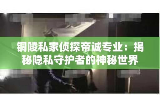 铜陵私家侦探帝诚专业：揭秘隐私守护者的神秘世界
