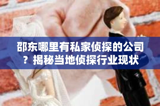 邵东哪里有私家侦探的公司？揭秘当地侦探行业现状