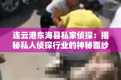 连云港东海县私家侦探：揭秘私人侦探行业的神秘面纱