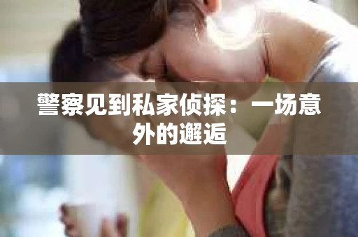 警察见到私家侦探：一场意外的邂逅