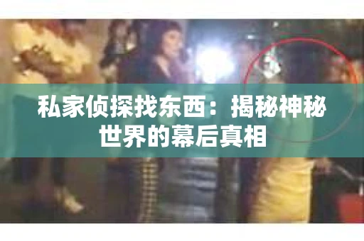 私家侦探找东西：揭秘神秘世界的幕后真相