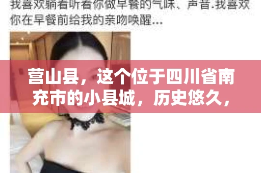 营山县，这个位于四川省南充市的小县城，历史悠久，风景秀丽。但在这个宁静的小县城里，你是否会好奇，有没有私家侦探的存在呢？今天，我就来和大家聊聊这个话题。