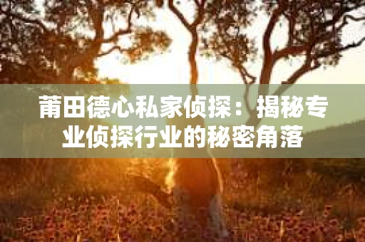 莆田德心私家侦探：揭秘专业侦探行业的秘密角落