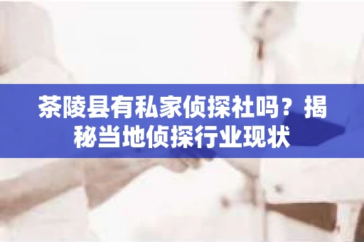 茶陵县有私家侦探社吗？揭秘当地侦探行业现状