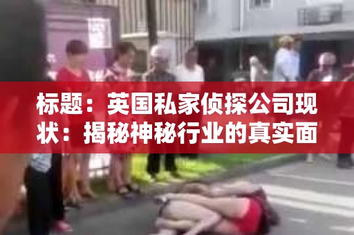 标题：英国私家侦探公司现状：揭秘神秘行业的真实面貌