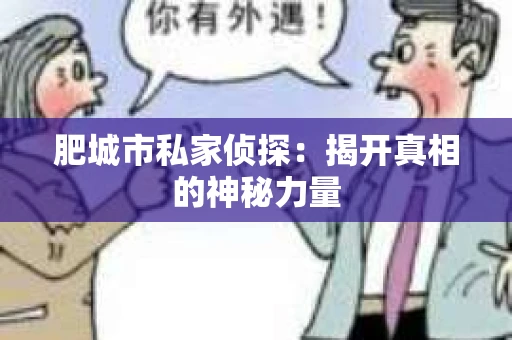 肥城市私家侦探：揭开真相的神秘力量