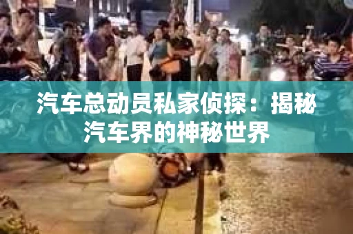 汽车总动员私家侦探：揭秘汽车界的神秘世界