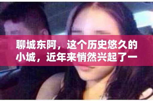 聊城东阿，这个历史悠久的小城，近年来悄然兴起了一股新的服务潮流——私家侦探。今天，我们就来聊聊这个话题，看看在聊城东阿，私家侦探是如何成为人们生活中的一部分的。