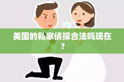 美国的私家侦探合法吗现在？