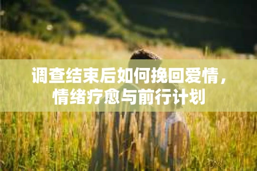 调查结束后如何挽回爱情，情绪疗愈与前行计划