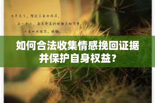 如何合法收集情感挽回证据并保护自身权益? 如何合法收集情感挽回证据并保护自身权益?