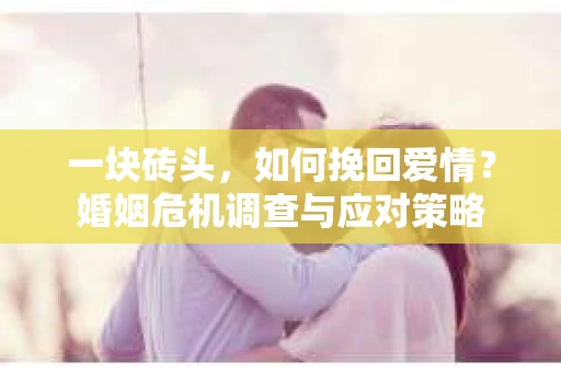 一块砖头，如何挽回爱情？婚姻危机调查与应对策略