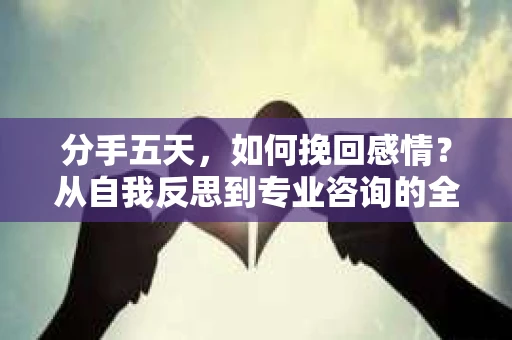 分手五天，如何挽回感情？从自我反思到专业咨询的全面解决方案