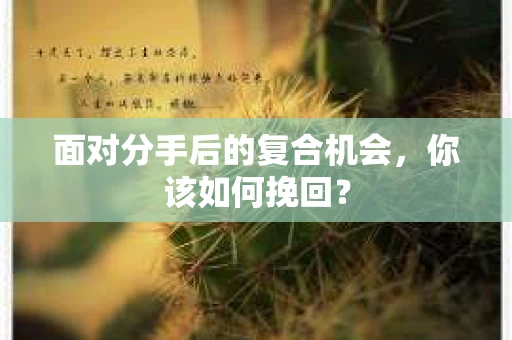 面对分手后的复合机会，你该如何挽回？