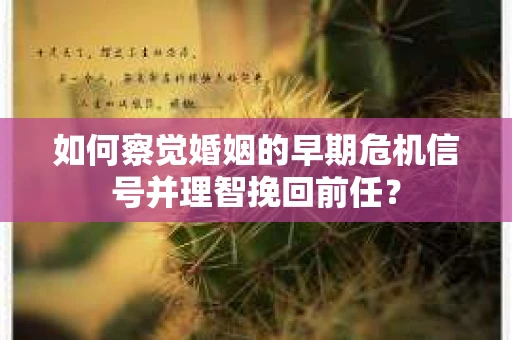 如何察觉婚姻的早期危机信号并理智挽回前任？